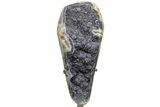 Sparkly, Dark Purple Amethyst Geode Section on Metal Stand #209232-1